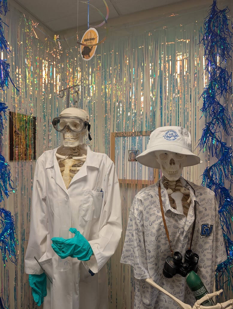 Photo of skeleton homecoming decorations